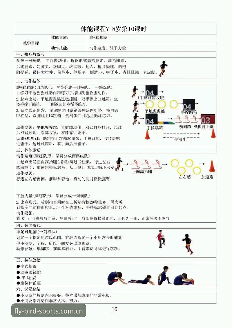 小鸟体育平台深度分析：从入门到精通的全方位体验解析